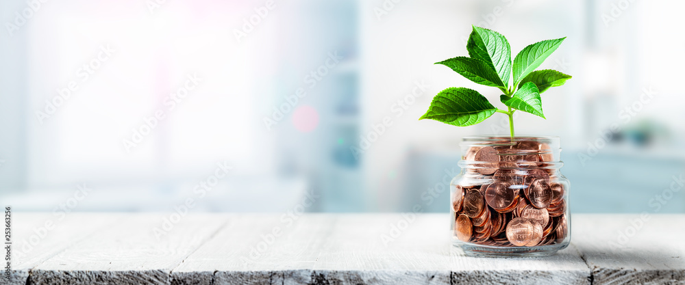 Plant Growing Out Of Coin Jar On Table In Office -  Investing / Business Success Concept